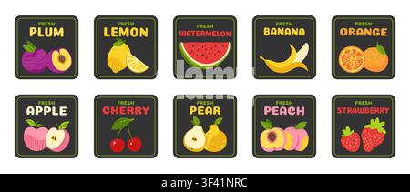 Fruit sticker collection. Vintage hand drawn doodle texture, colorful organic nature logo, barcode stamp for market and grocery design. Summer print badges. Vector illustration set Stock Vector