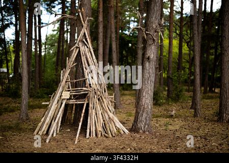 A wooden debris hut shelter leans against a pine trunk in woodland at Thursley Common, Surrey, built from fallen branches in a bushcraft survival styl Stock Photo
