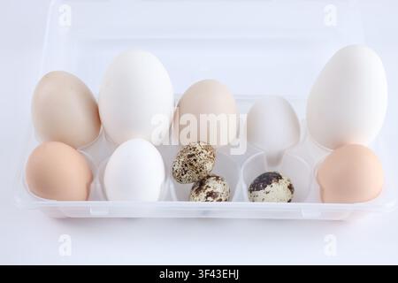 Different eggs in plastic container on white background, closeup Stock Photo