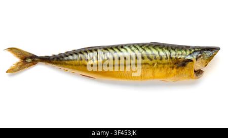Smoked mackerel fish close-up on a white background. Smoked fish side view with shade. Stock Photo