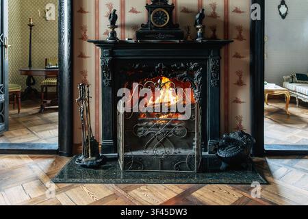 vintage fireplace room with ornate mantel burning fire and classic decor Stock Photo
