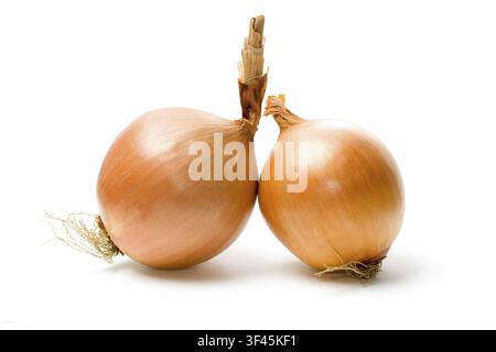 Two onions isolated on white background Stock Photo