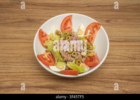 Tuna salad with green olives, red onion, tomato wedges, egg slices, and romaine lettuce in white bowl Stock Photo