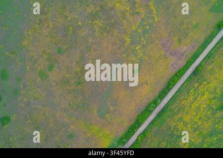 Straight unpaved country road cutting through lush green farmland and grassland. Scenic top down drone view of rural agricultural landscape with organic nature pattern and copy space. Stock Photo