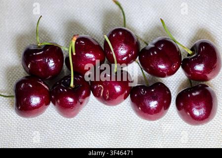 Fresh Dark Red Cherries with Stems on White Textured Surface Stock Photo