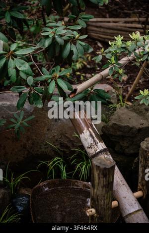 Traditional Bamboo Water Feature in a Japanese Garden Stock Photo