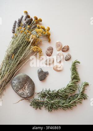 Sardinian wildflowers, stones, shells on white Stock Photo