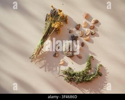 Sardinian sunlit flat lay — wildflowers, stones, shells on white Stock Photo