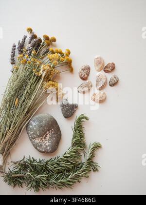 Sardinian flat lay — wildflowers, stones, shells on white Stock Photo