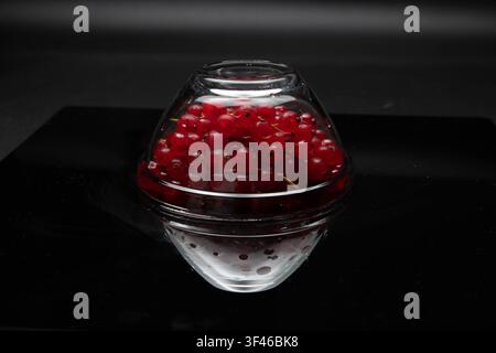 Fresh red currants contained inside a glass dome bowl with a sharp reflection on a glossy black surface in studio lighting. Stock Photo
