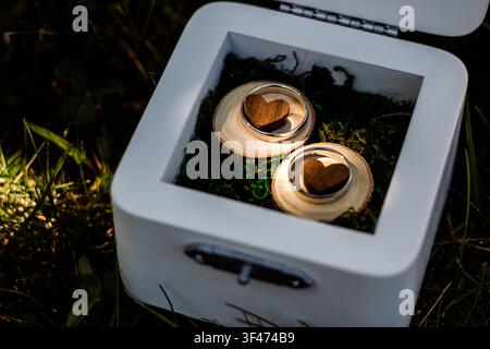 White wooden ring box with two heart-shaped rings on wood slices in green moss under outdoor lighting. Romantic rustic wedding ceremony, eco-friendly Stock Photo