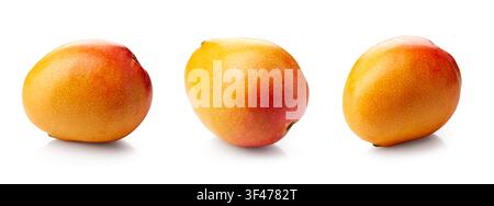 fresh mango fruits isolated on white background Stock Photo