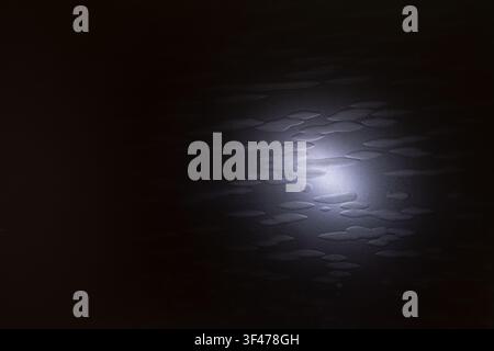 Minimal abstract dark background featuring a soft glowing center and subtle organic embossed shapes. Modern luxury texture with generous copy space fo Stock Photo