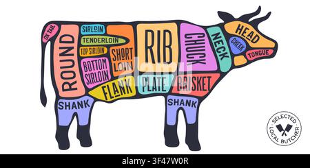 Cow, Beef, hand-drawn butcher cuts meat guide Stock Vector