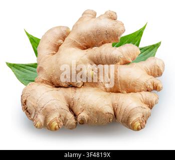 Ginger root with ginger leaves isolated on a white background with clipping path. Stock Photo