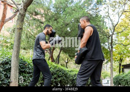 Two friends are engaged in a boxing training session outdoors in a park, focusing on fitness and honing their skills. Gloves and pads are essential fo Stock Photo