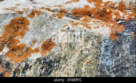 Close-Up of Alpine Rock Covered with Rust-Red Lichen in the Swiss Alps Stock Photo