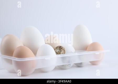 Different eggs in plastic container on white background, closeup Stock Photo