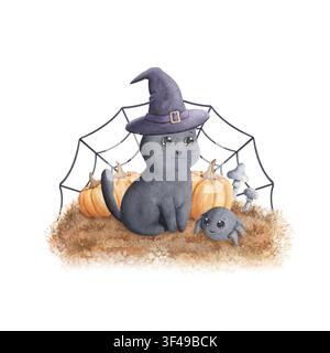 Black cat in witch hat and spider sitting on grass with pumpkins, mushrooms and web isolated on white background. Hand drawn watercolor illustration o Stock Photo