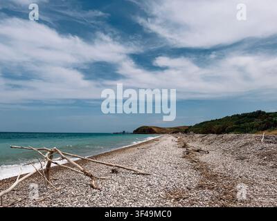 Coastal view showing a pebbly beach near the water on a clear day with some trees Stock Photo