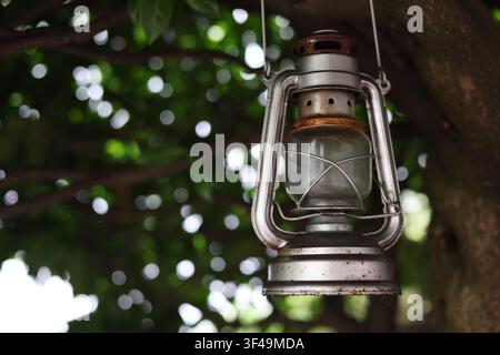 Vintage kerosene lantern hanging from a tree with green background Stock Photo