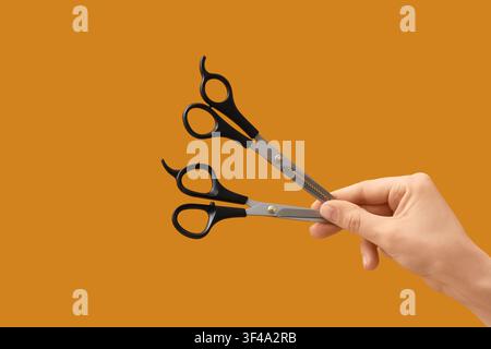 Hand holding professional hairdressing scissors and thinning shears on an orange background, hair care and styling tools Stock Photo