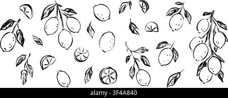 Hand draw pencil, crayon, chalk lemon doodle scribbles. Vintage botany sketch. Summer citrus fruit vector illustration. Mediterranean Italian Amalfi, Stock Vector