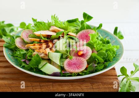 Grilled chicken salad with cucumber and watermelon radish Stock Photo