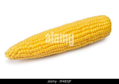 Ear of corn on a white background. Natural corn. A large yellow ear of corn. Stock Photo
