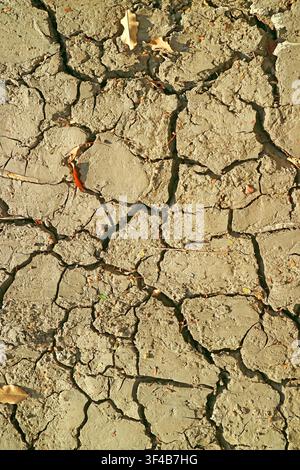 Top view abstract of cracked earth mudcracks representing global warming and severe drought Stock Photo