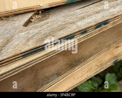 Close-up of stacked weathered plywood sheets with exposed layered edges and natural wood texture. Perfect for construction, woodworking, manufacturing Stock Photo