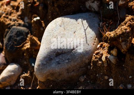 Aventurine quartzite pebble sparkling under bright sunlight resting on grainy sandy ground, macro shot capturing natural texture and glowing stone sur Stock Photo