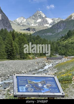 View from Koednitztal on the south side of Grossglockner, larch forest in the Koednitz Valley in the foreground, small on the edge of the picture brid Stock Photo