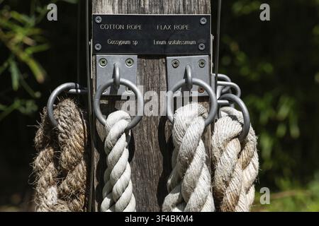 Different types of ropes, Chelsea Physic Garden, Chelsea, England, United Kingdom Stock Photo