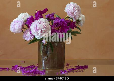 Peonies (Paeonia) in a brown stone jug on a glass table, Bavaria, Germany Stock Photo