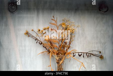 Dried bouquet of flowers in a white marble niche in a cemetery near Lugo Galicia Stock Photo