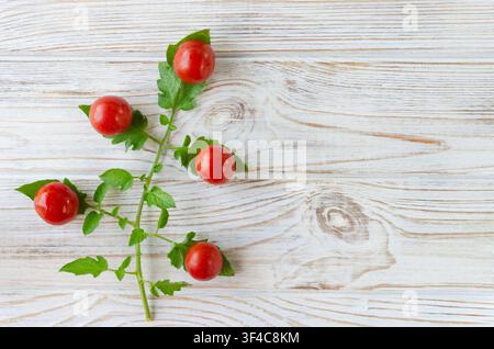Creative composition of vegetables on a wooden surface: green stem and leaves, to which five red cherry tomatoes are attached, forming a branch. Eco-f Stock Photo