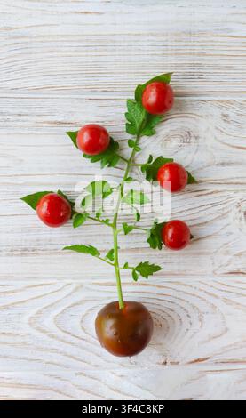 Creative composition of vegetables on a wooden surface: a brown tomato with a green stem and leaves, to which five red cherry tomatoes are attached, f Stock Photo