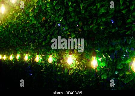 Warm hanging light bulbs illuminating a green leaf wall decoration in a cozy garden setting. Stock Photo