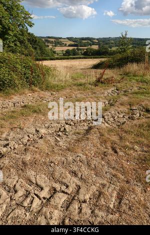 Baked and dry earth during a hot and dry summer with High Weald landscape behind, Burwash, East Sussex, England, United Kingdom, Europe Stock Photo