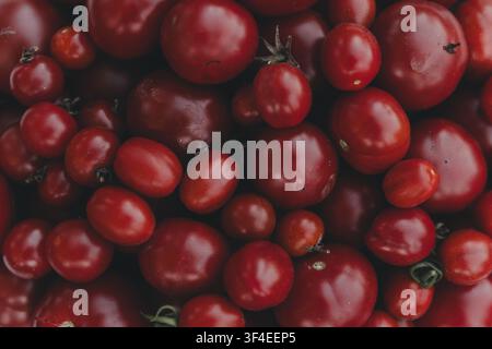 View of a collection of fresh, ripe red tomatoes of various sizes arranged closely together in Laane County, Estonia. Stock Photo