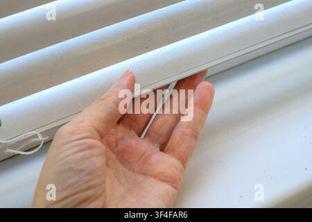 Woman's hand touches dusty white blinds, close-up. Dusting blinds indoors, cleaning. Stock Photo