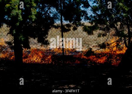 A ground fire burns through dry vegetation in Derveni on July 23,2026, fueled by extreme heat, drought and worsening climate conditions Stock Photo