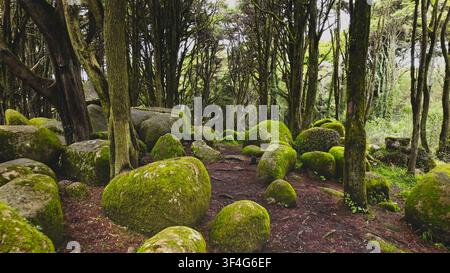 Enchanted forest trail with large mossy granite boulders surrounded by dense woodland in Sintra, Portugal. Stock Photo