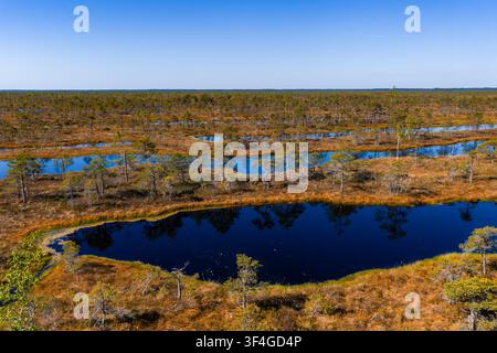 Aerial view of Kemeri National Park bog pools in Latvia Stock Photo