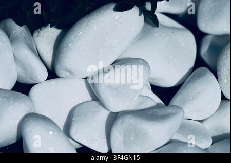 Macro photograph of smooth white pebble stones with natural texture, highlights, and subtle shadows. Perfect background for spa, wellness, garden decoration, zen design, and natural stone concepts.  Stock Photo