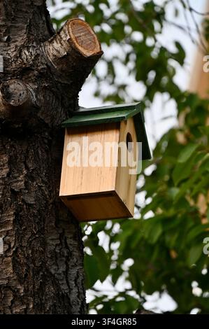 A medium shot of a simple, clean wooden birdhouse featuring a green sloped roof mounted onto a rough tree trunk. Softly blurred green foliage fills the background, creating a natural and tranquil environment suitable for wild birds and garden ecosystem concepts. Stock Photo