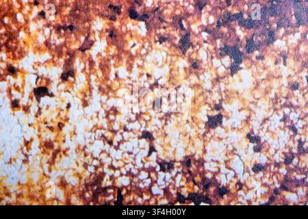 Close-up of rust-colored printed card stock paper featuring a speckled organic pattern with a visible paper texture. Stock Photo