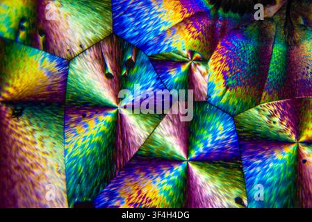 Polarised light micrograph of vitamin C (ascorbic acid) crystals. Magnification: x400 when printed at 10 cm. Stock Photo