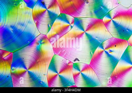 Polarised light micrograph of vitamin C (ascorbic acid) crystals. Magnification: x400 when printed at 10 cm. Stock Photo